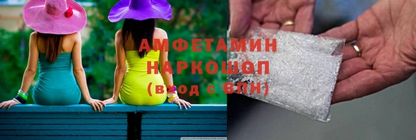 стаф Алзамай