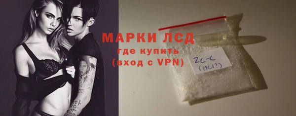 стаф Алзамай