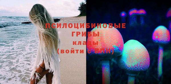 стаф Алзамай