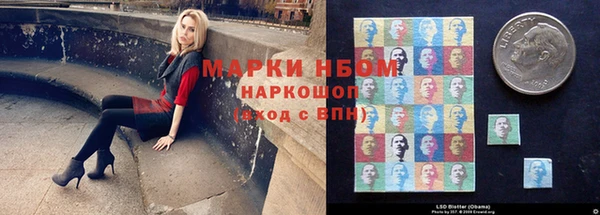стаф Алзамай