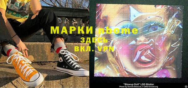 стаф Алзамай