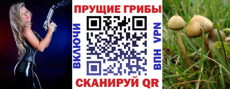 Галлюциногенные грибы Cubensis  как найти закладки  Сортавала 