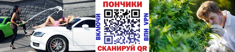 гидра вход  Сортавала  Марихуана индика 